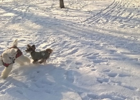 3. Derča a Míja  - řádění ve sněhu.