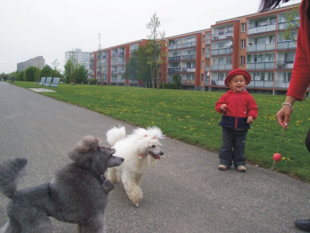 A tak musí mamka asama balonek hodit.