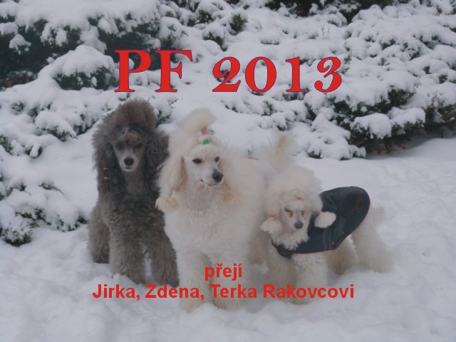 PF 2013.