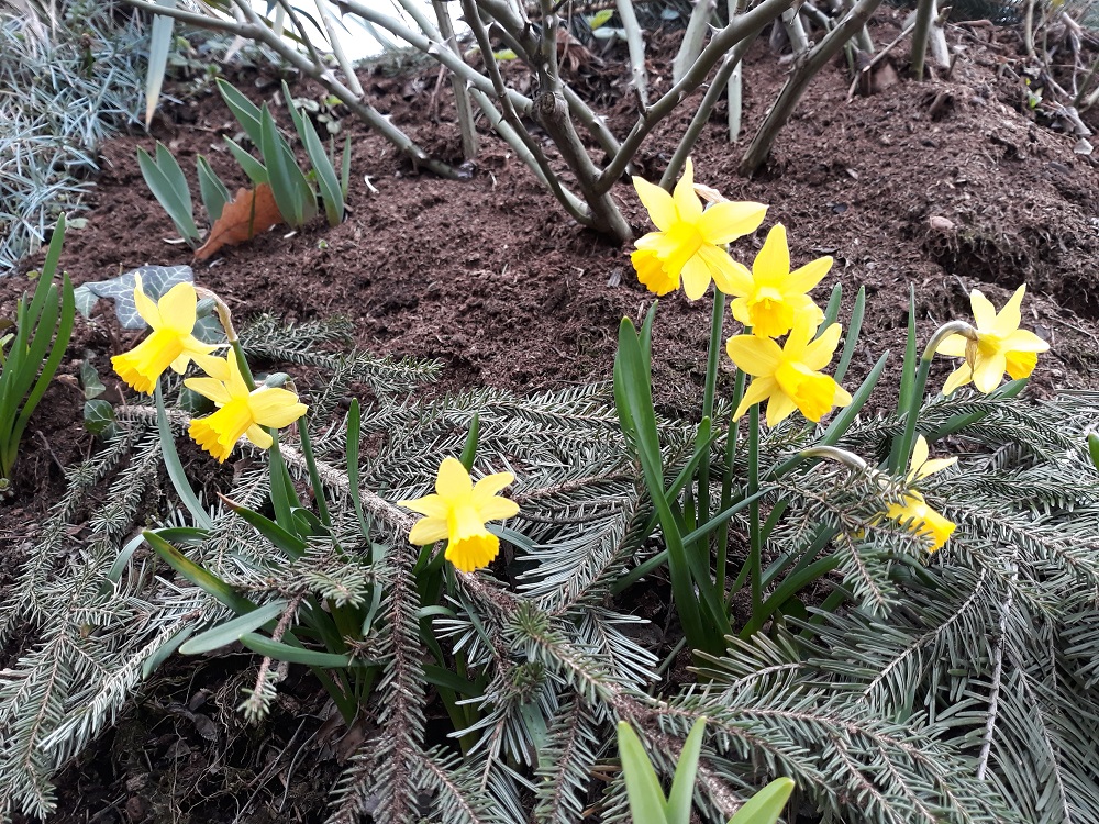 20190327_141210A