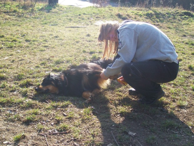 24. jeden hezký zimní den.