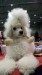 WP_20181202_13_13_54_Pro